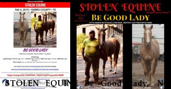 STOLEN EQUINE Be Good Lady,  Near Spring, TX, 77373